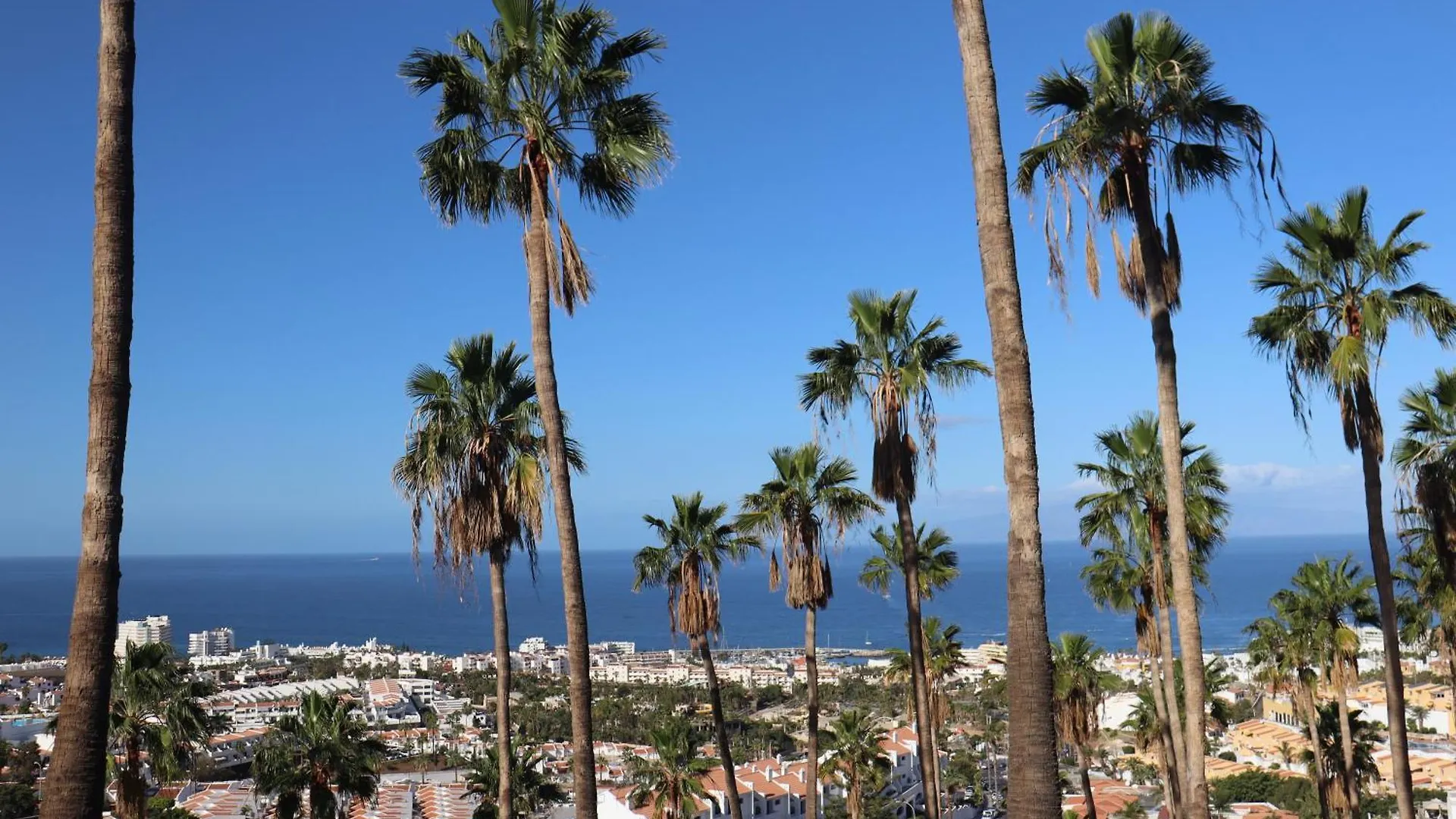 Ocean View Villa Natalia Costa Adeje  Costa Adeje (Tenerife)